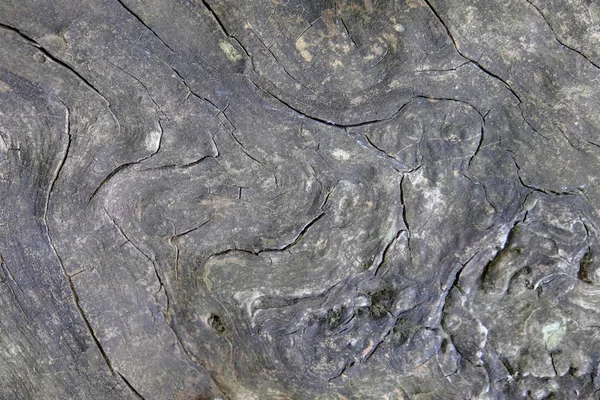 Ahşap ağaç doku arka plan için