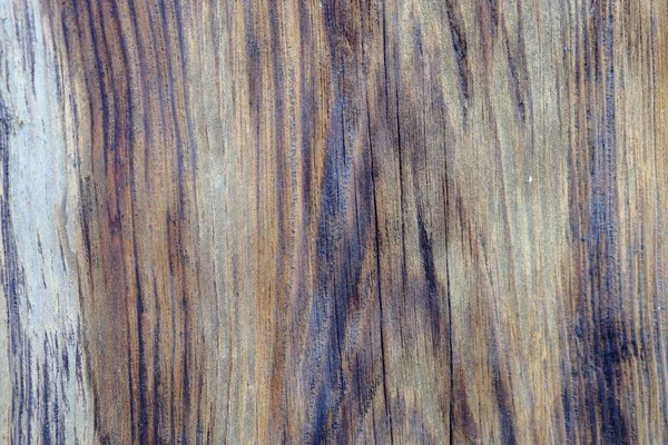Текстура Дерева Фона — стоковое фото