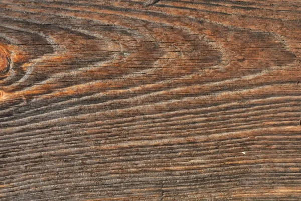 Ahşap ağaç doku arka plan için