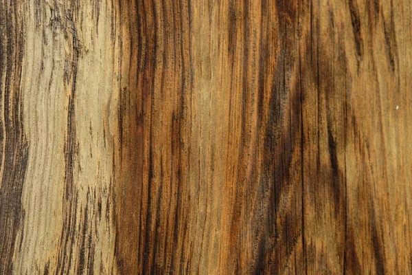 Ahşap ağaç doku arka plan için