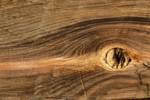 Ahşap ağaç doku arka plan için