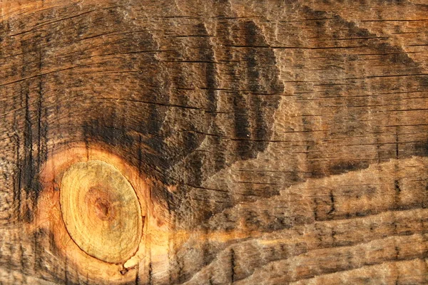 Ahşap ağaç doku arka plan için