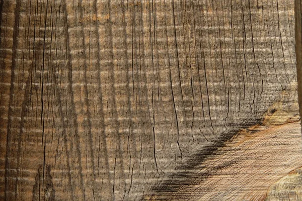 Holzbaumtextur Für Hintergründe — Stockfoto