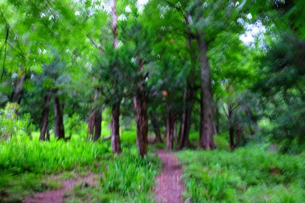 Ahşap ağaç doku arka plan için