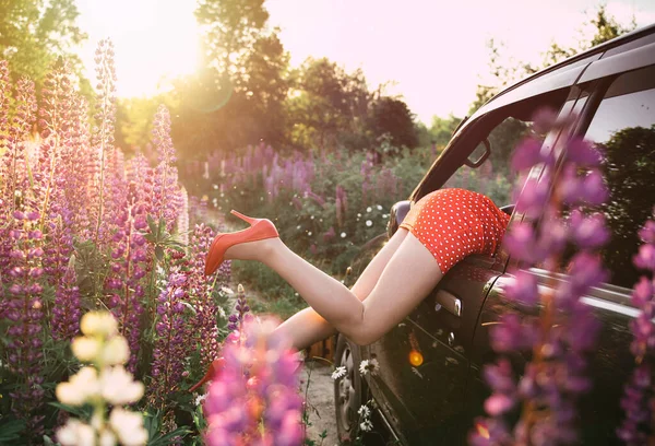 穿着红色高跟鞋 穿着红色复古服装的漂亮女人的腿在日落时穿着野花从车里往外看 免版税图库图片