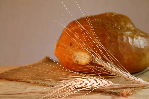 kurnaz bir hala hayat değil. ekmek, süt, buğday kulaklar 