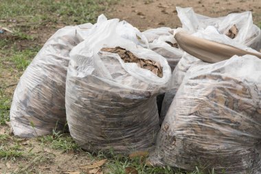 Sonbahar Temizleme yaprakları, parkta çim üzerinde tam beyaz çöp torbaları yığını, torba Çöp yaprakları