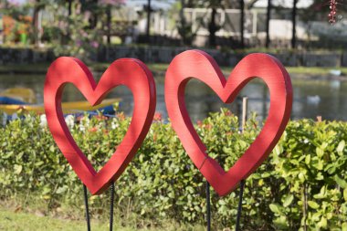 Bahçe park yeşil çim dekorasyon kırmızı kalp sembolü