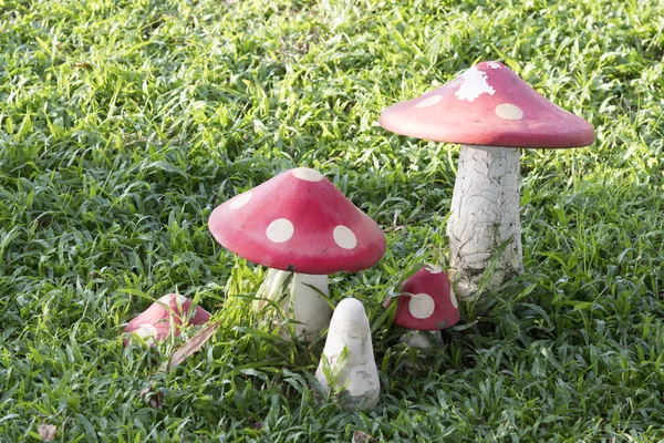 Close Colorful Mushroom Lawn Garden — Stock Photo, Image