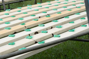 Sera beyaz tepsi suda bitki yetiştirme çiftliği Sağlık pazarı için olan genç sebze