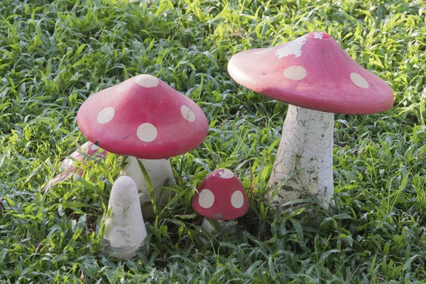 Close Colorful Mushroom Lawn Garden — Stock Photo, Image
