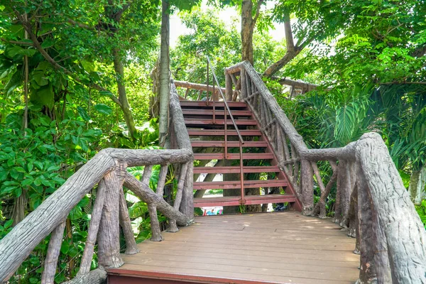 metal stairway with wood leading up a walkway through the jungle with trees, Dam metal ladder