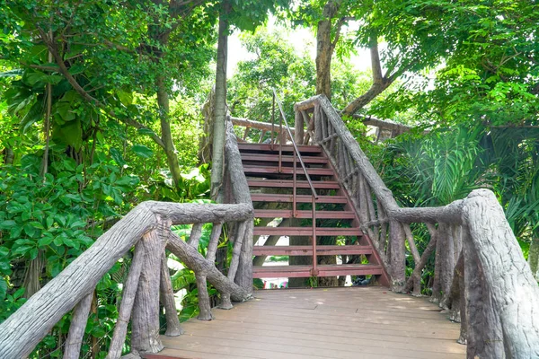 metal stairway with wood leading up a walkway through the jungle with trees, Dam metal ladder