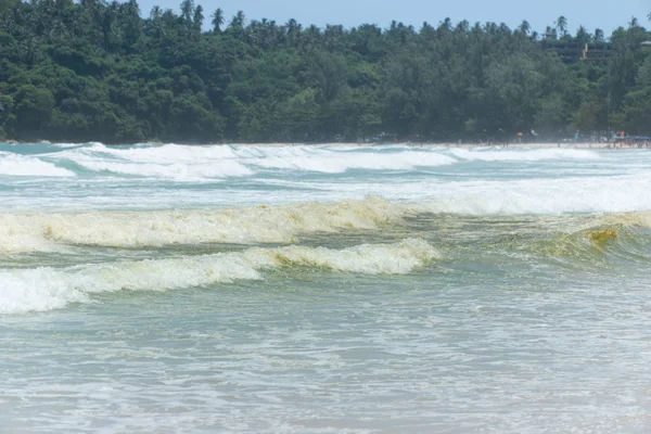 Waste water into the sea. brown colored sea water