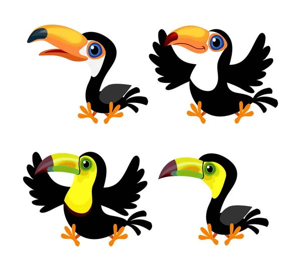 Set of four cartoon toucans (Ramphastos toco, Ramphastos sulfuratus) isolated on white — Stock Vector