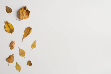 Sonbahar arkaplanı ve beyaz masa üzerinde sarı yapraklar. Sonbahar sezonu. Kuru yapraklar, üst görünüm, kopyalama alanı