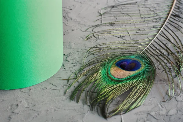 Paper roll of green color and decorative peacock feather on concrete background. Green color inspiration