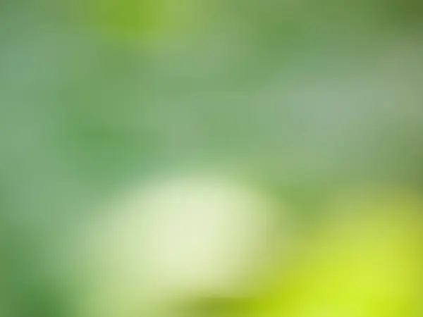 Renkli soyut doğal arkaplan. Kamera ile çekilmiş.