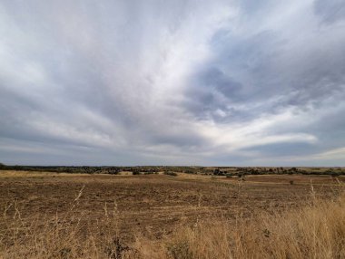 Uçsuz bucaksız, kuru bir manzara, yuvarlanan tepeler ve bulutlarla dolu dramatik bir gökyüzünün altında seyrek bitki örtüsüyle uzanıyor. Altın otlar rüzgarda sallanıyor, doğanın özünü yakalıyor..