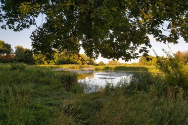 Huzurlu bir göl manzarası, batan güneşi yansıtan yumuşak bir suyla ortaya çıkar, canlı yeşillikler ve uzun otlarla çerçevelenmiş, doğanın kucaklamasına davet eden bir rahatlama ve tefekkür.
