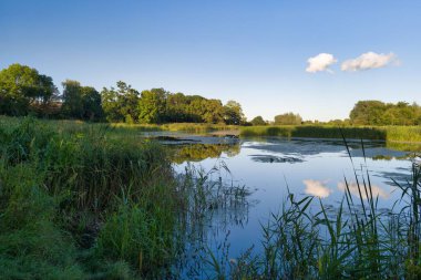 Bereketli yeşillik, berrak mavi gökyüzünün sakin yüzeyde yansıdığı sakin bir su kütlesini çevrelemektedir. Güneş ışığı huzur dolu sahneyi aydınlatır, rahatlatır..