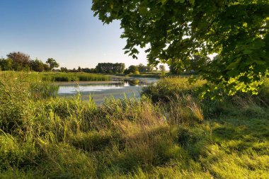Huzurlu bir gölet, parlak, berrak bir gökyüzünün altındaki uzun otlar ve ağaçlarla çerçevelenmiş sıcak güneş ışığını yansıtır. Huzur ortamı rahatlamayı ve doğayla bağlantıyı davet ediyor..