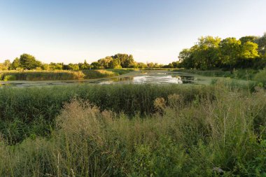 Günbatımının parlak renkleri sazlıklar ve yeşilliklerin canlı bir manzara yarattığı huzurlu bir sulak araziyi aydınlatır. Durgun su, akşam gökyüzünü yansıtıyor ve sükuneti arttırıyor..