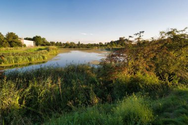 Huzurlu bir su kütlesi, akşam gökyüzünü yansıtır. Güneş ışığı canlı yeşil bitkiler ve ağaçların üzerine sıcak bir parıltı saçar ve kıyı boyunca uzanır. Huzurlu bir ortam yaratır..