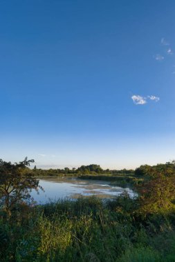 Güneş ışığı, sakin göl üzerinde, huzurlu çevreyi yansıtan altın bir renk bırakır. Yeşillik bitkiler su kenarında, alacakaranlıkta sakin bir atmosfer yaratıyor..