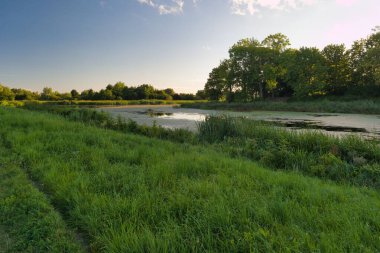 Bereketli yeşil çimenler, ağaçlar ve çalılarla çevrili sakin bir göletin kenarını çiziyor. Açık gökyüzü ve yumuşak bulutlar öğleden sonra boyunca huzurlu bir atmosfer yaratır..