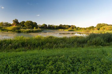 Sakin bir kırsal alan, sakin bir su kütlesi tarafından geniş, yemyeşil çimenler ve uzun sazlıklar sergiliyor. Akşam gökyüzü ve hafif esinti huzurlu bir atmosfer yaratır..
