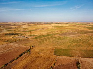 Bu uçsuz bucaksız tarım arazisi, yeşil ve kahverengi tonlarında, açık mavi gökyüzünün altında, kırsal tarım alanlarını aydınlatan çeşitli tarlaları barındırır..