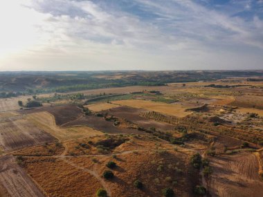 Arazi boyunca uzanan geniş tarım arazileri, açık gökyüzünün altında yeşil ağaçlar ve kahverengi toprak parçalarıyla görülebilir. Öğleden sonra güneşi manzaranın üzerine sıcak bir ışık saçar.