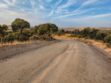 Dolambaçlı toprak bir yol, berrak mavi bir gökyüzünün altında yemyeşil ağaçlarla dolu verimli bir arazide kıvrılır. Sahne, güneşli bir günde kırsal kesimin huzurunu yakalıyor..