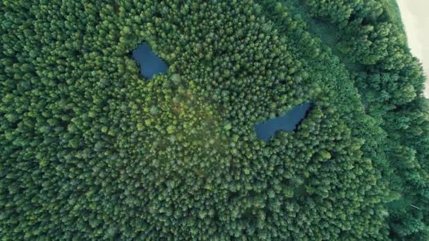 Вид Ліс Озером Центрі — стокове відео