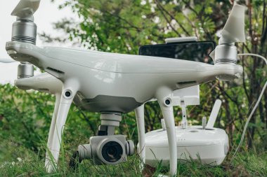 Bir dron ormandaki fotoğrafı