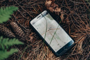 Ormanın içinde telefon merkezidir