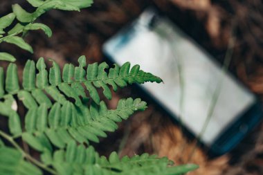 Ormanın içinde telefon merkezidir