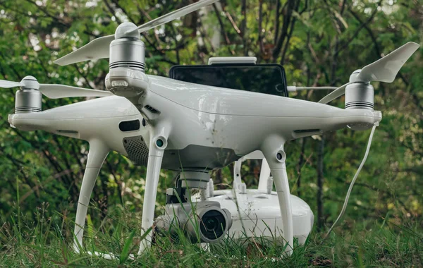 Bir dron ormandaki fotoğrafı