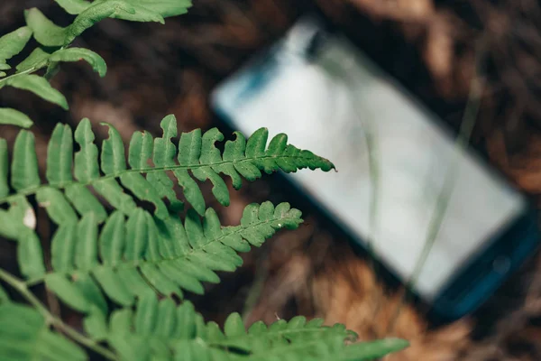 Telefono Terra Nel Bosco — Foto Stock