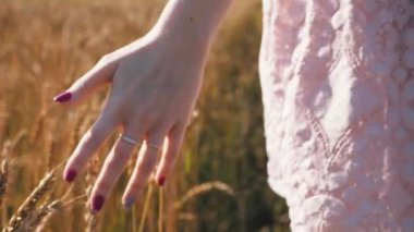 Buğday içeren alanı üzerinde yürüyen kız