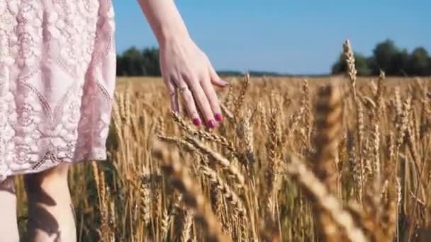 畑に小麦の上を歩く女の子 — ストック動画
