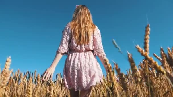 Chica Caminando Campo Con Trigo — Vídeos de Stock