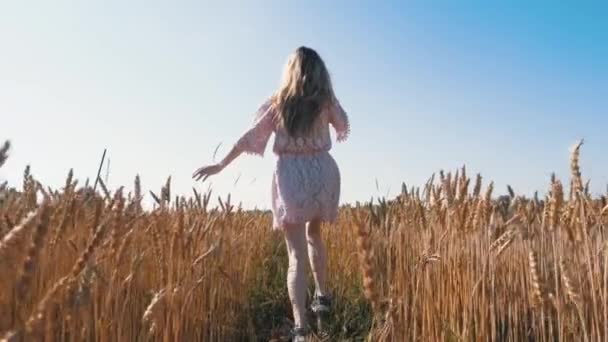 Girl Walking Field Wheat — Stock Video