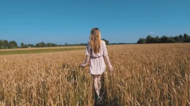 Girl Walking Field Wheat — Stock Video