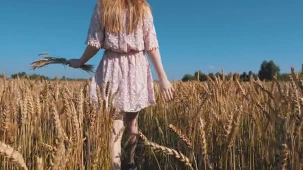 Девушка Ходит Полю Пшеницей — стоковое видео