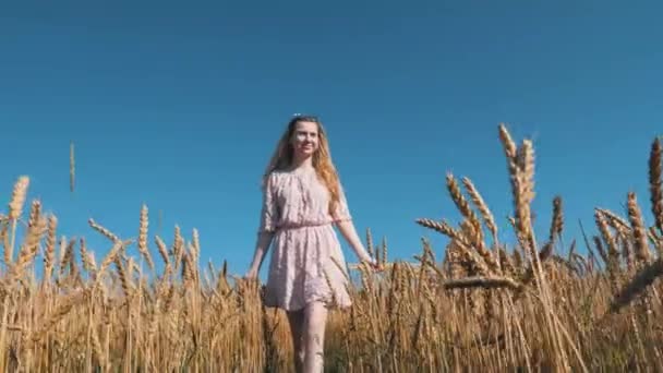 Chica Caminando Campo Con Trigo — Vídeos de Stock