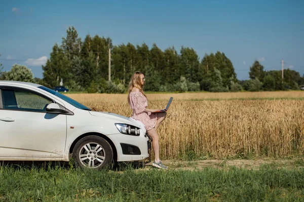 Girl working on a laptop near the field with wheat