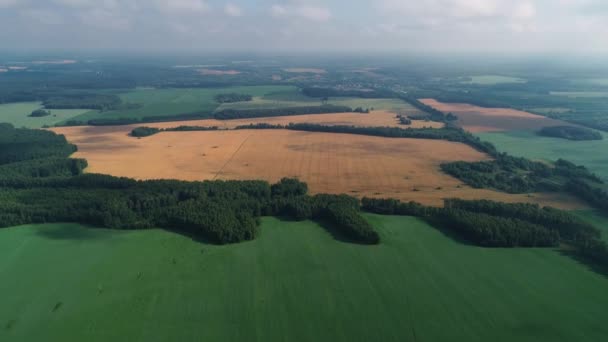 Grenzeloze Veld Luchtfoto Enquête — Stockvideo