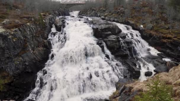 Сказочный Норвежский Водопад Красивые Пейзажи — стоковое видео